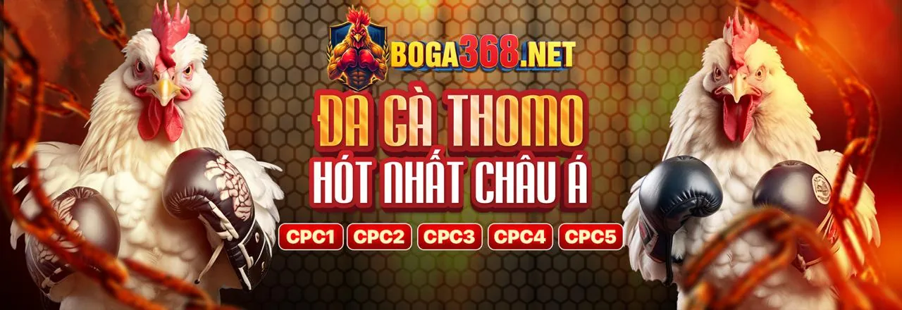 Đá Gà Trực Tuyến bl55 - Xem Trực Tiếp Các Trận Đấu Kịch Tính